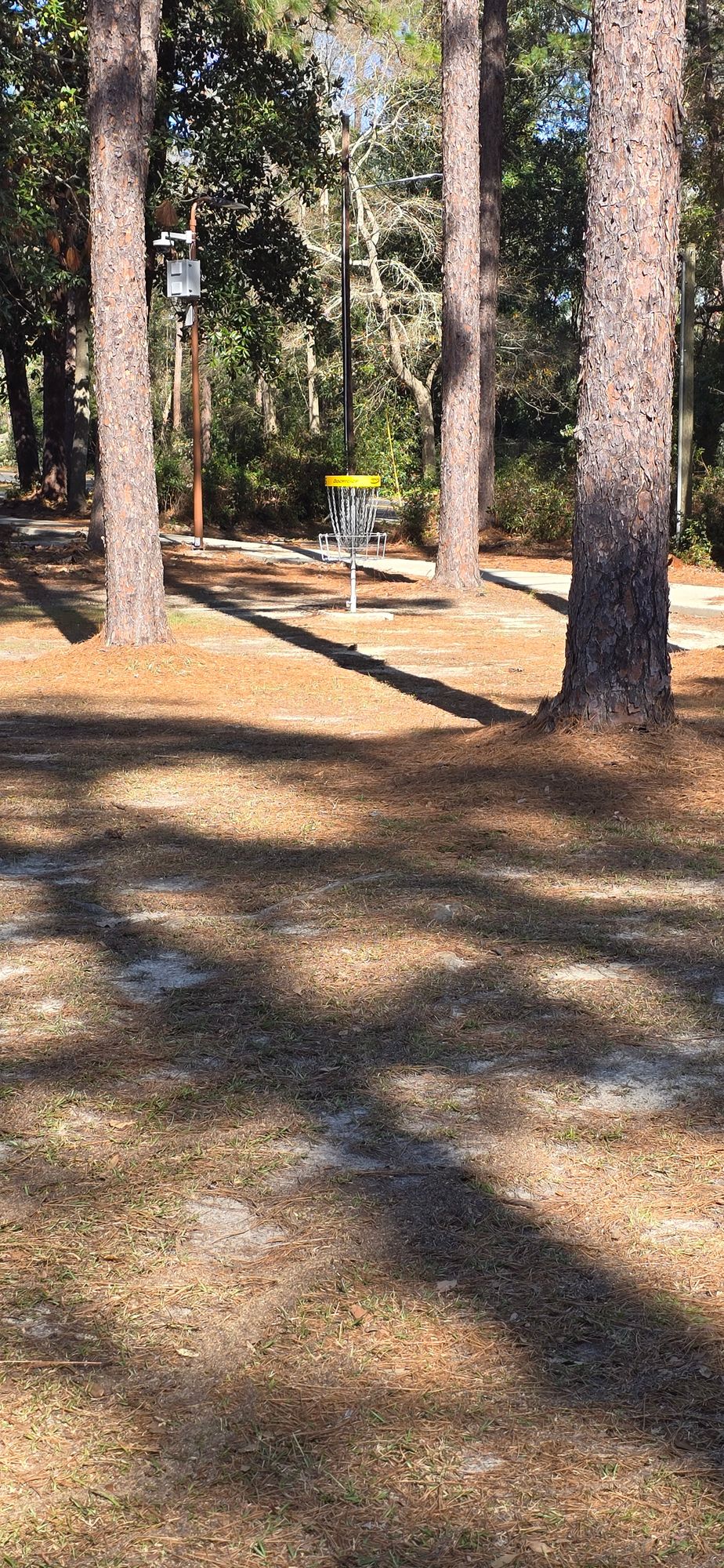 Hole 5 basket