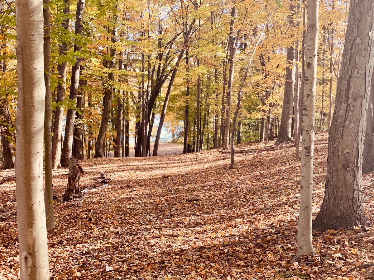 Hole 5