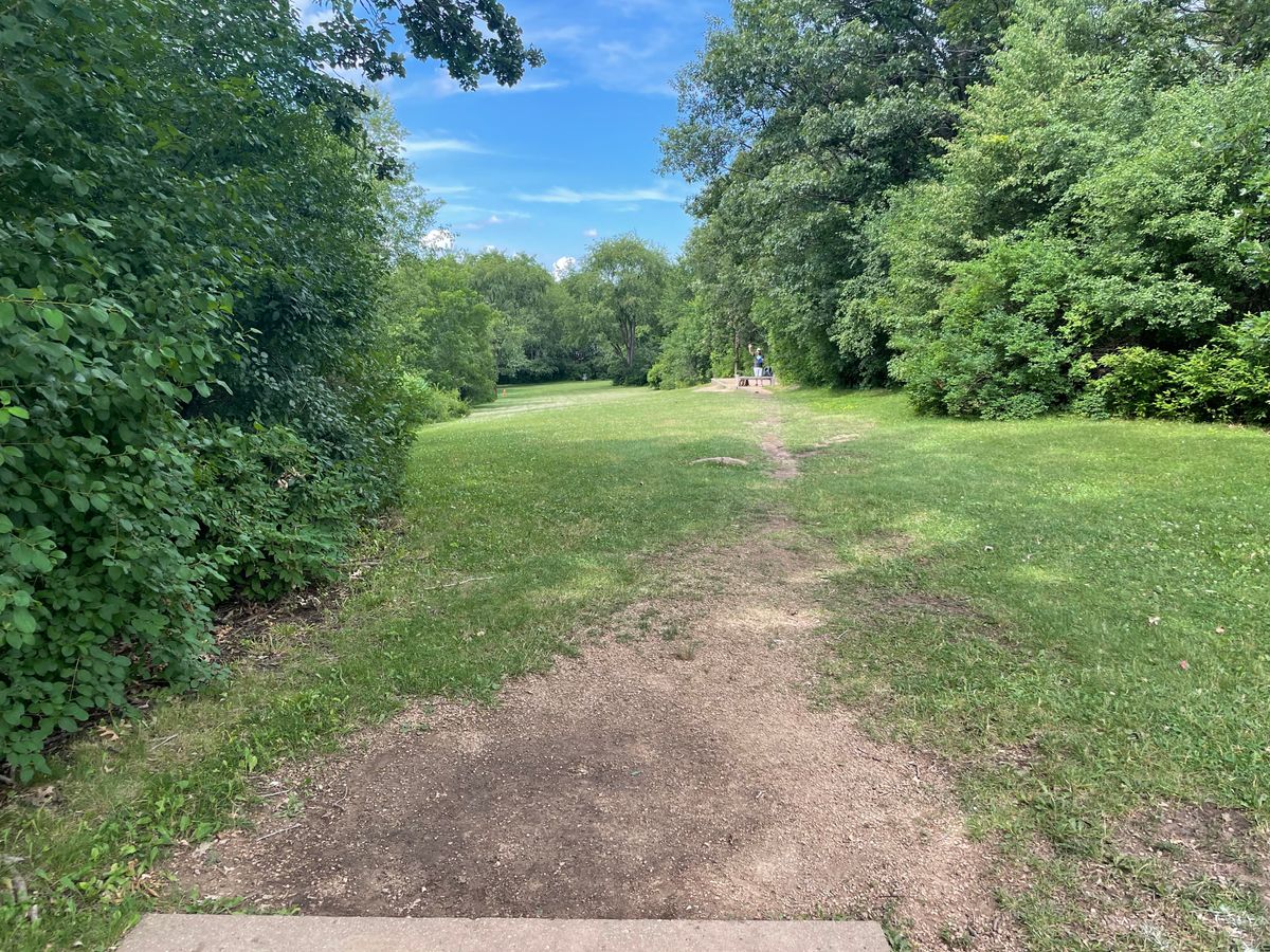 Hole 15 long tee