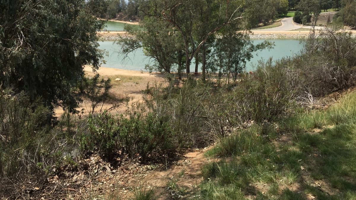 Hole 5