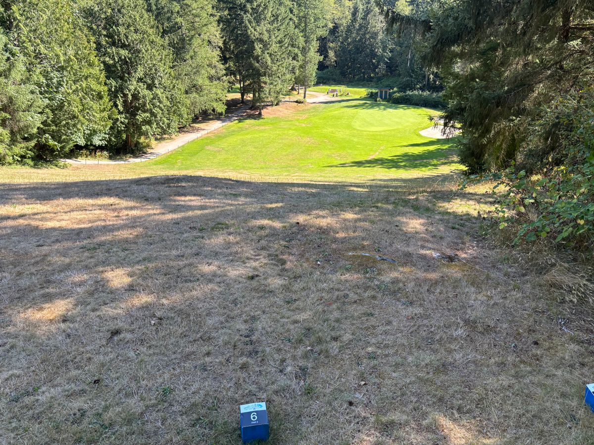 Hole 6 from blue tee pad