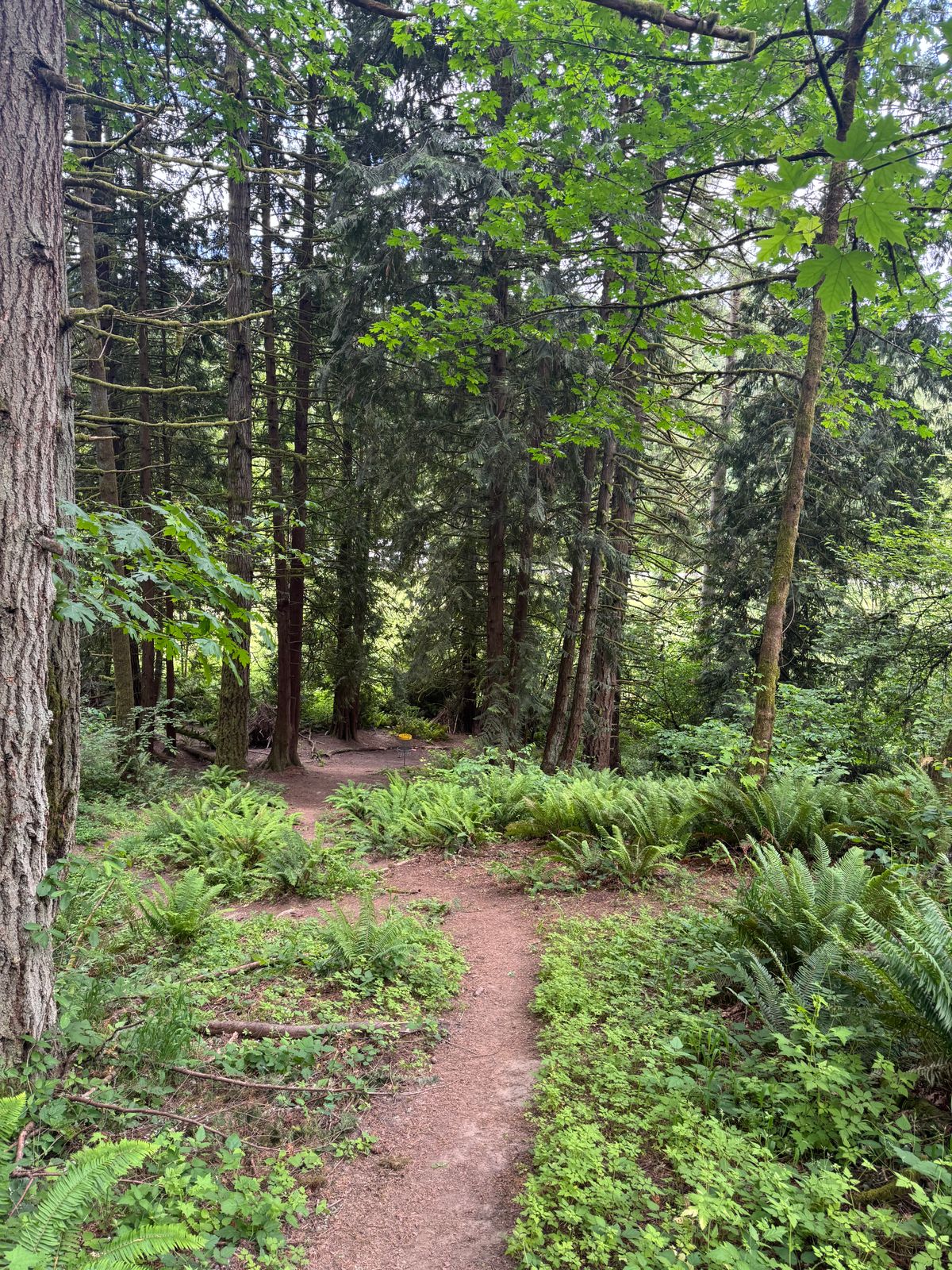 Fairway of hole 8.
