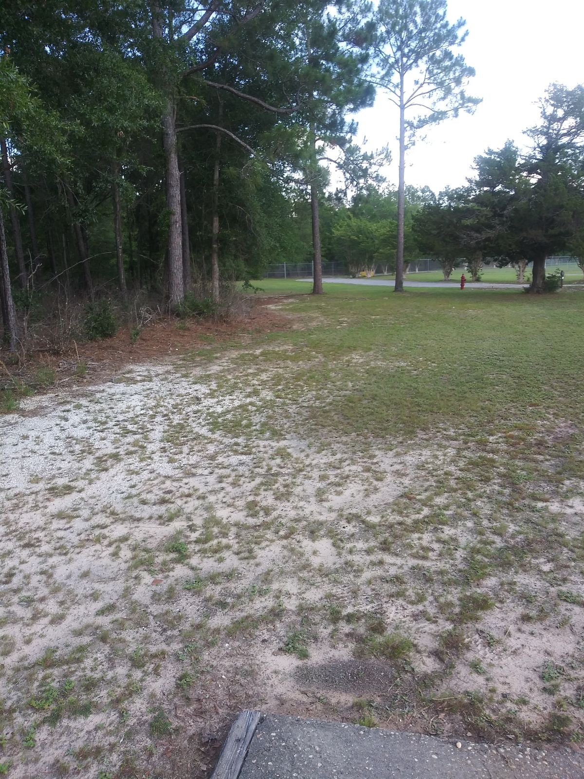3rd tee box