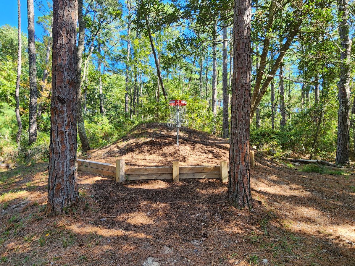 Hole 4 Red Basket