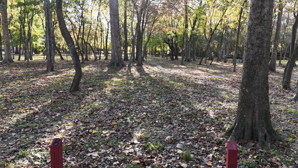 Tee 8, Red Basket