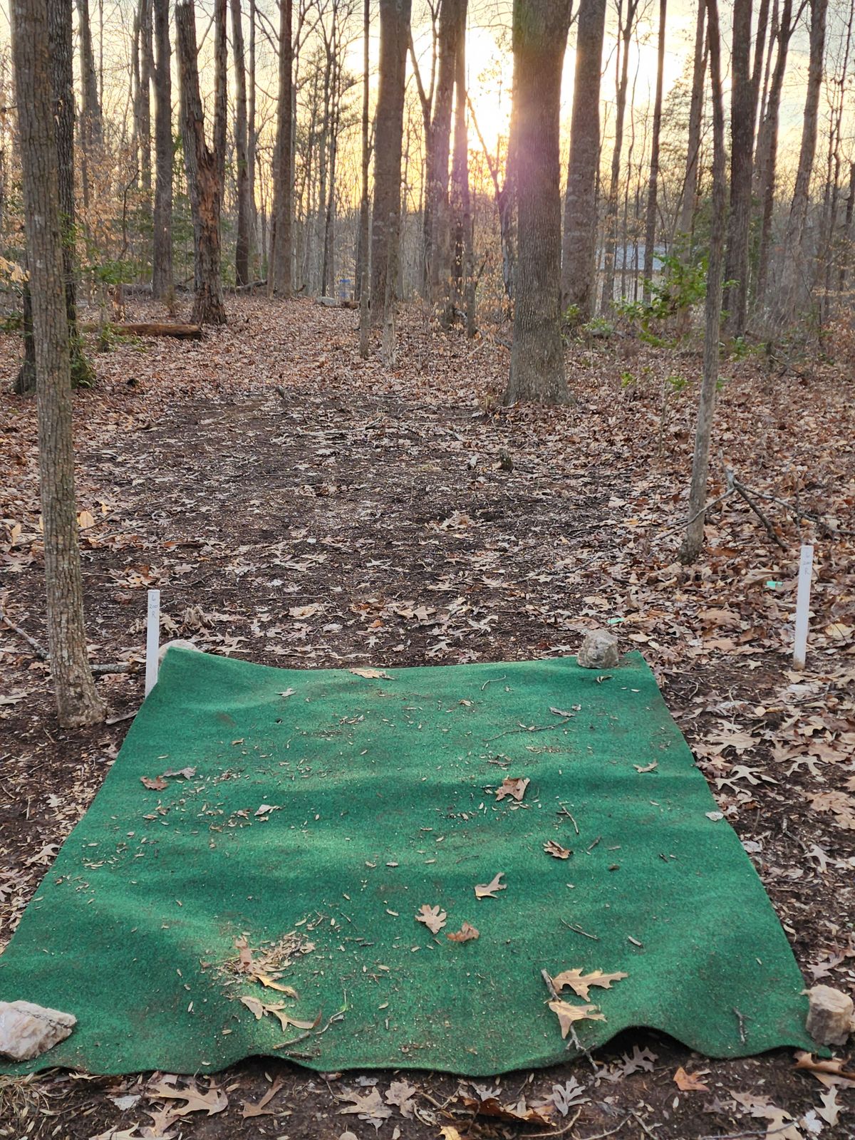 Hole 6 Short