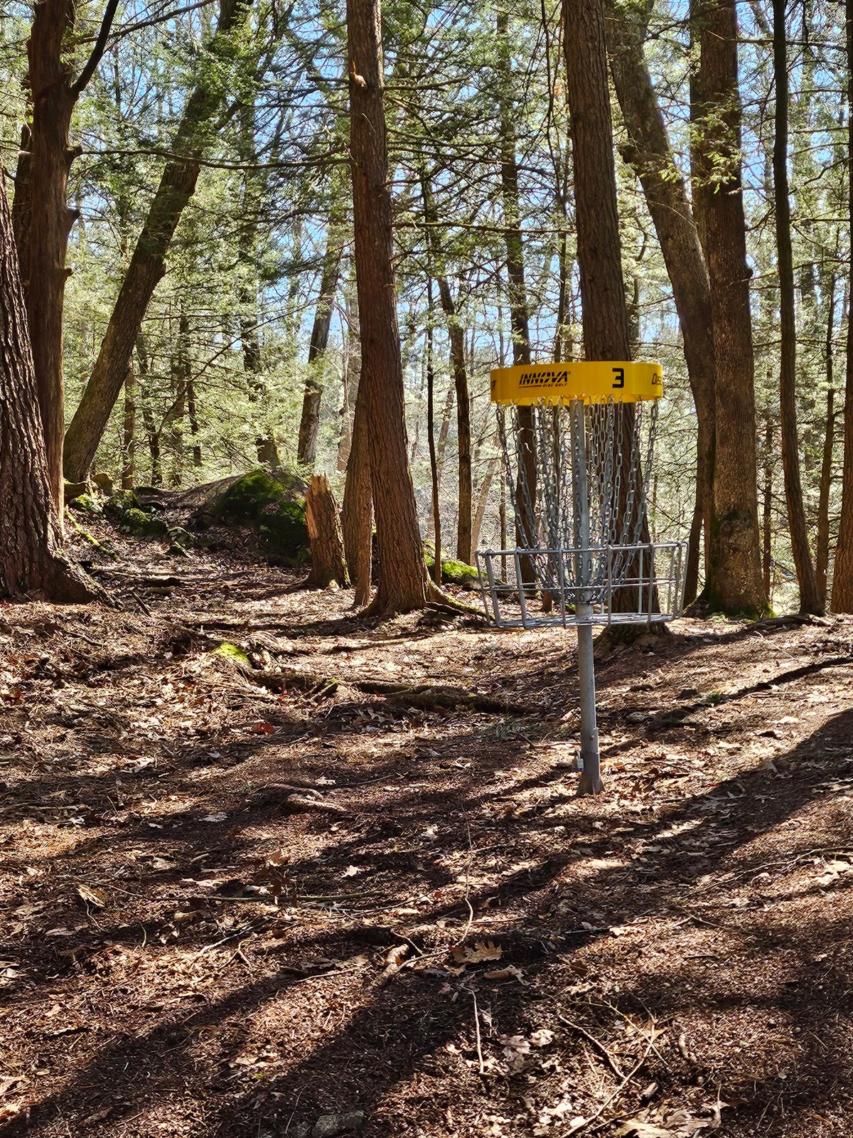 3rd Hole