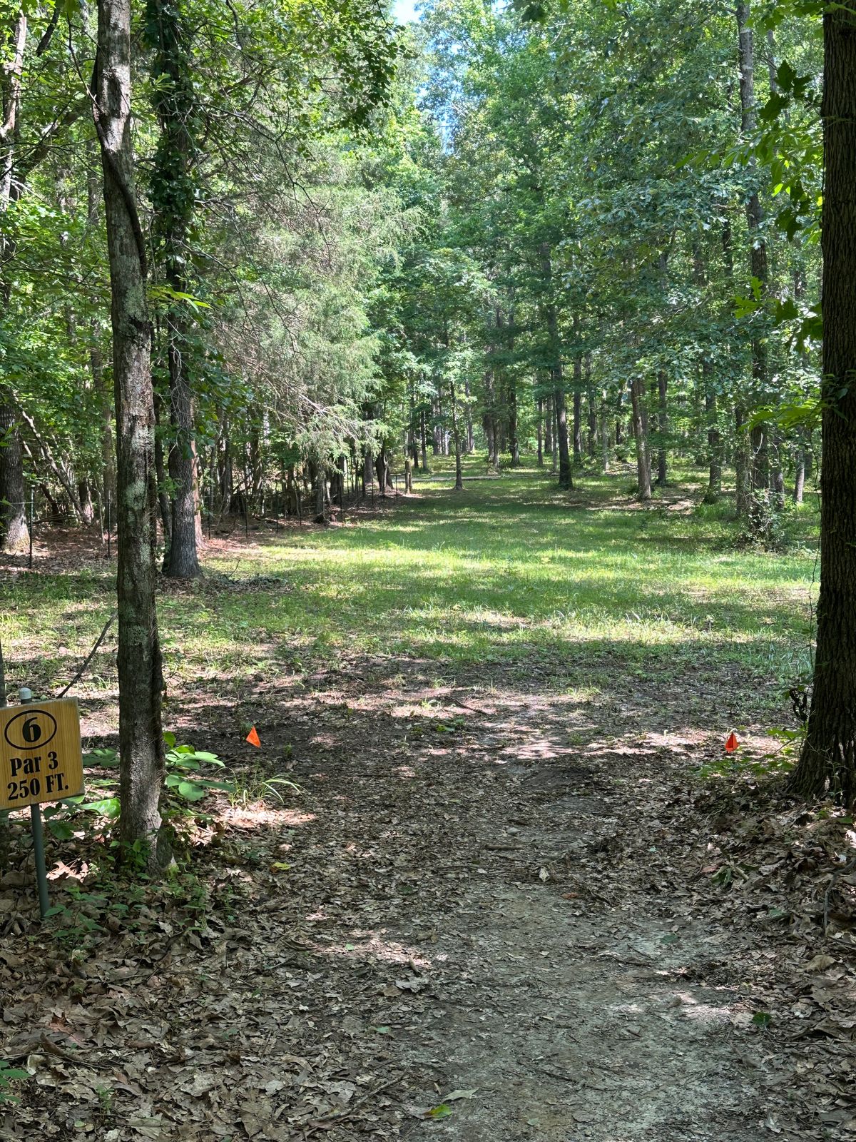Hole 6 tees