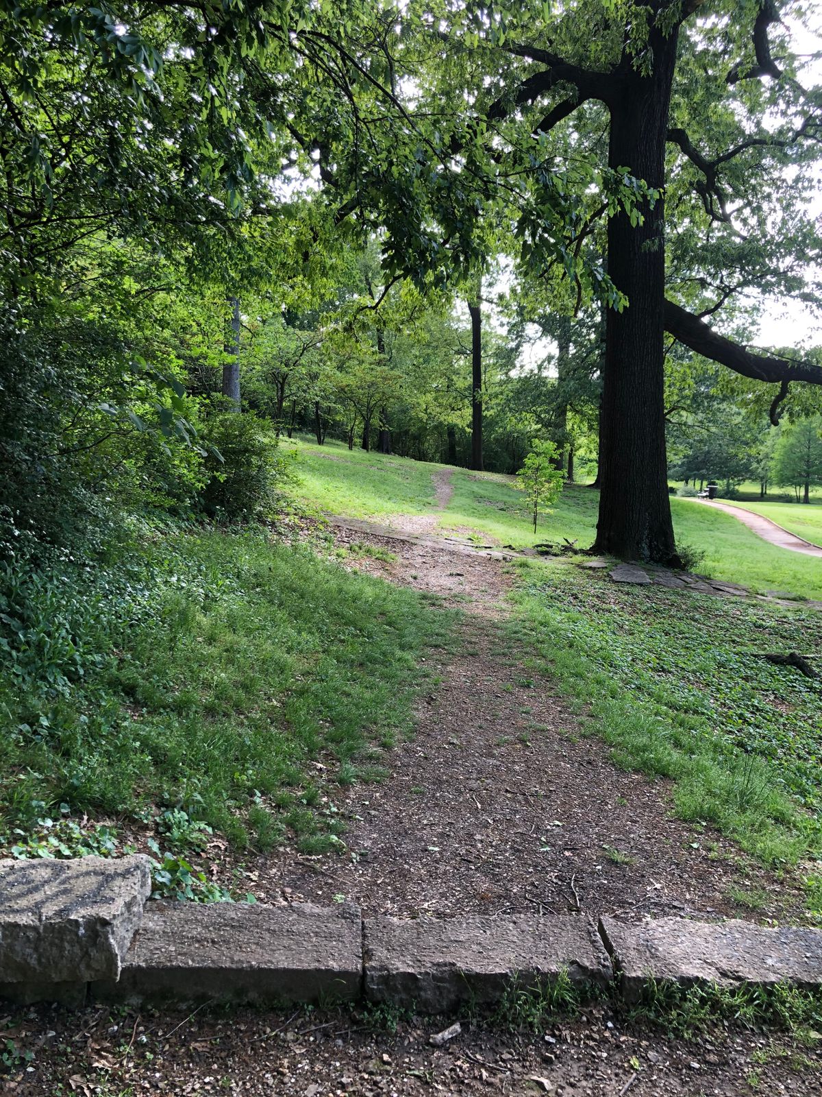 Hole 6