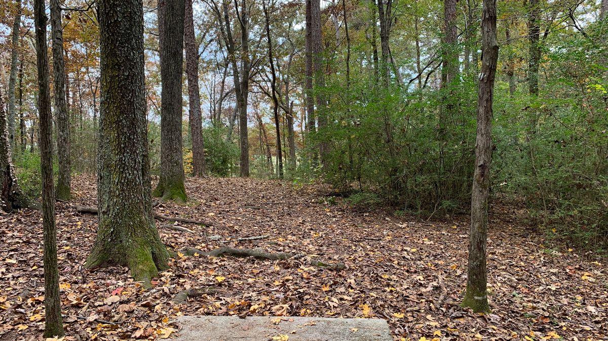 Hole 6