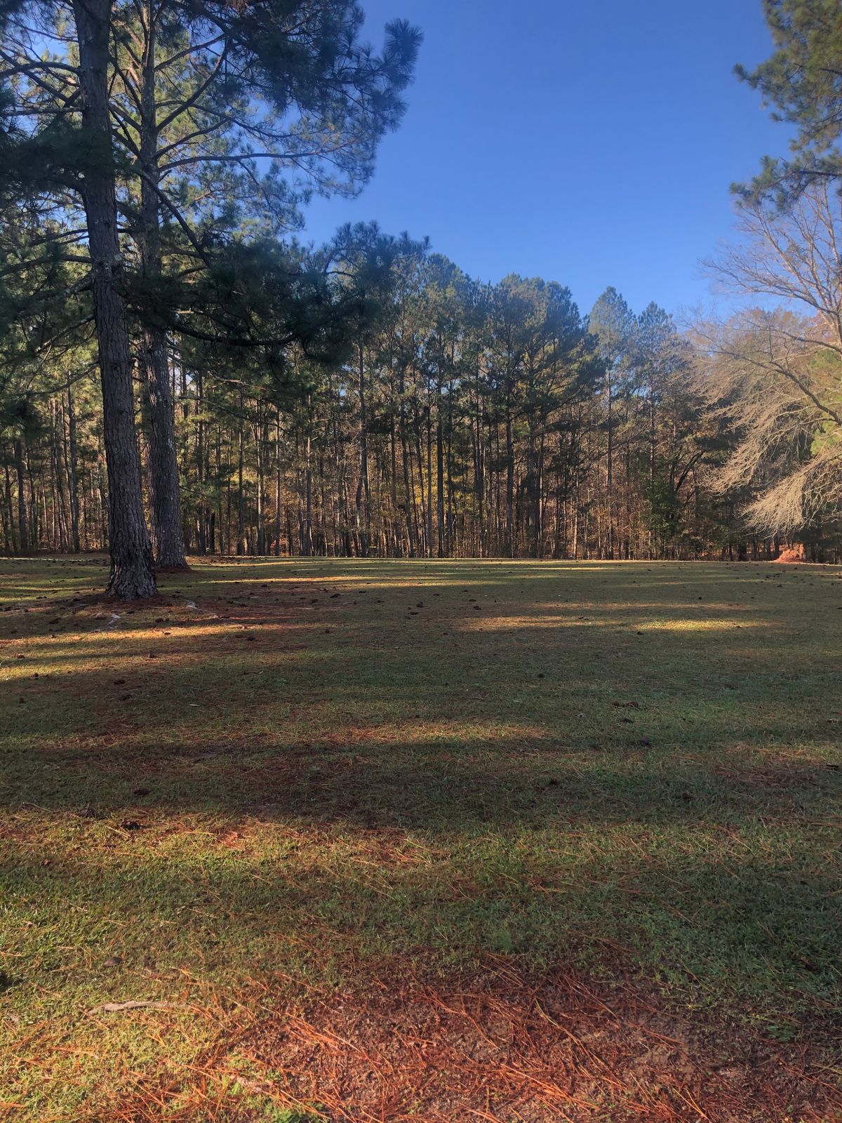 Hole 5