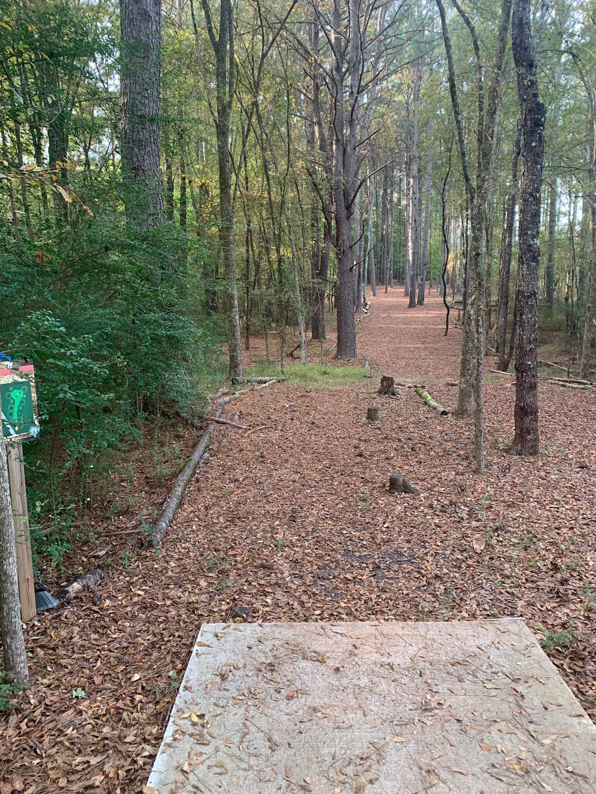 Hole 17 - Blue tee