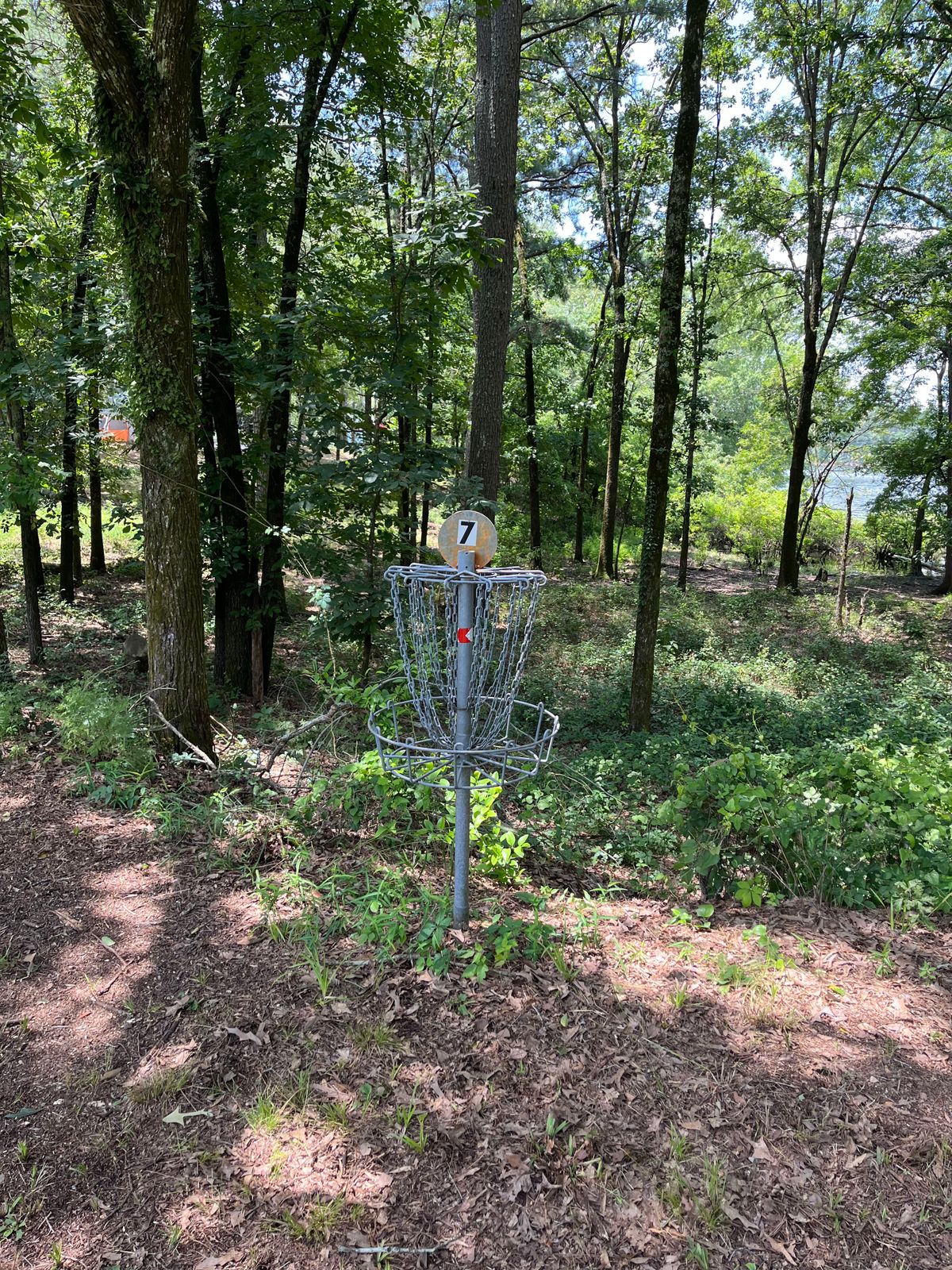 Hole 7 Basket