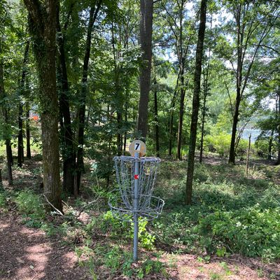 Hole 7 Basket