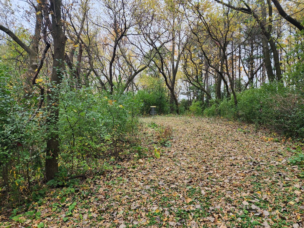 Hole 6 basket.