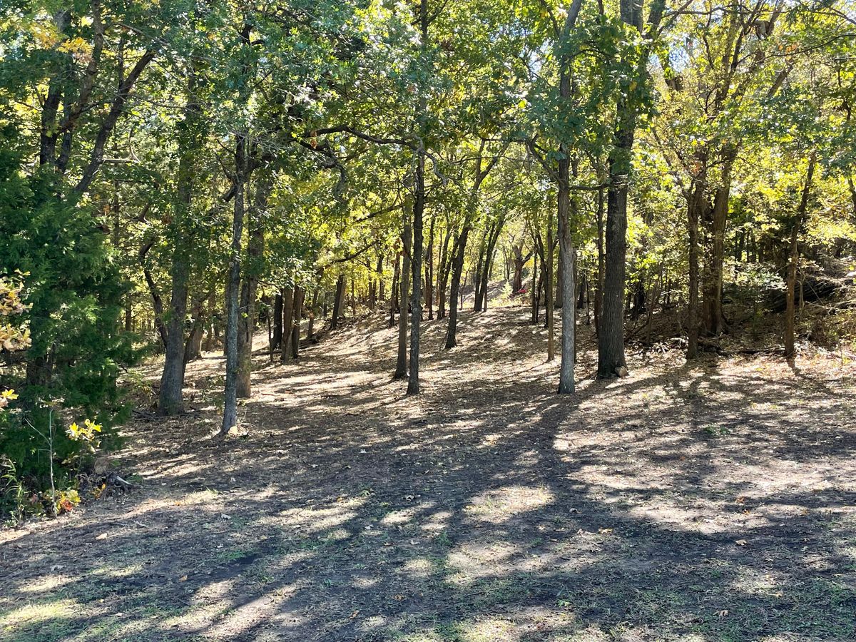 Hole 12 third shot