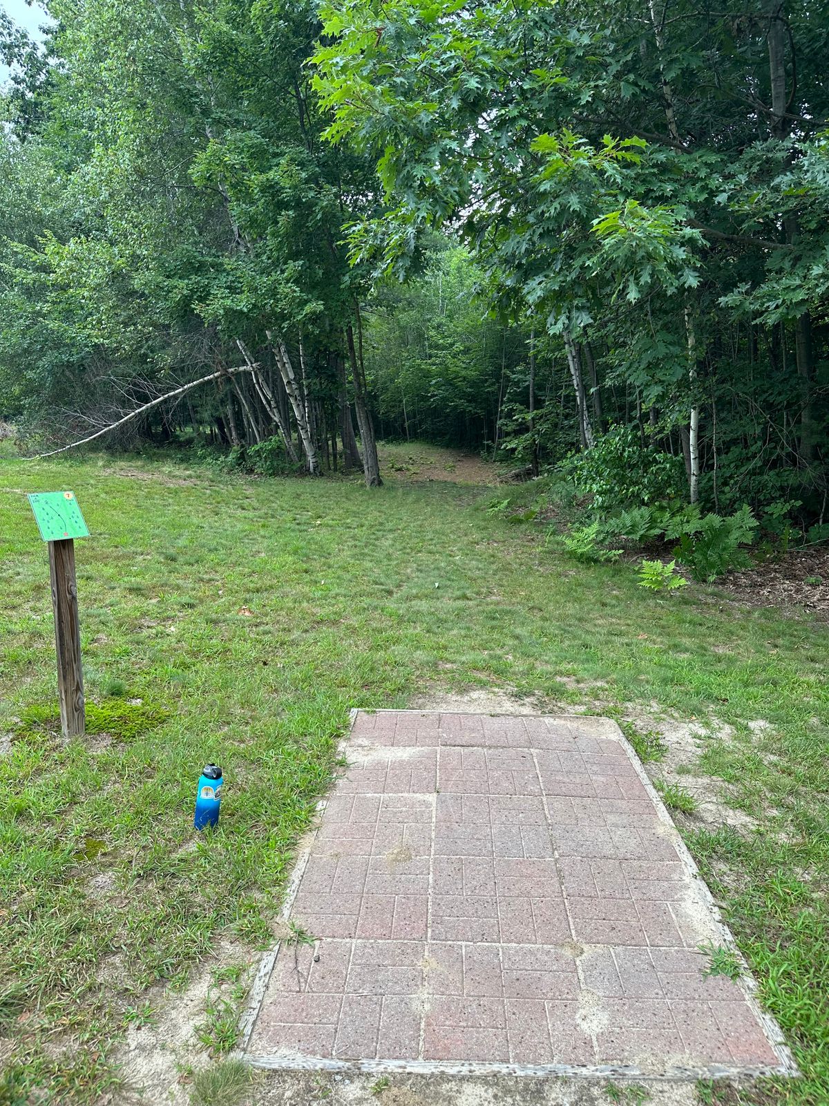 Hole 7