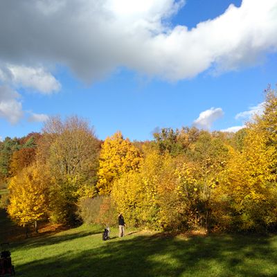 Herbst in Gössweinstein