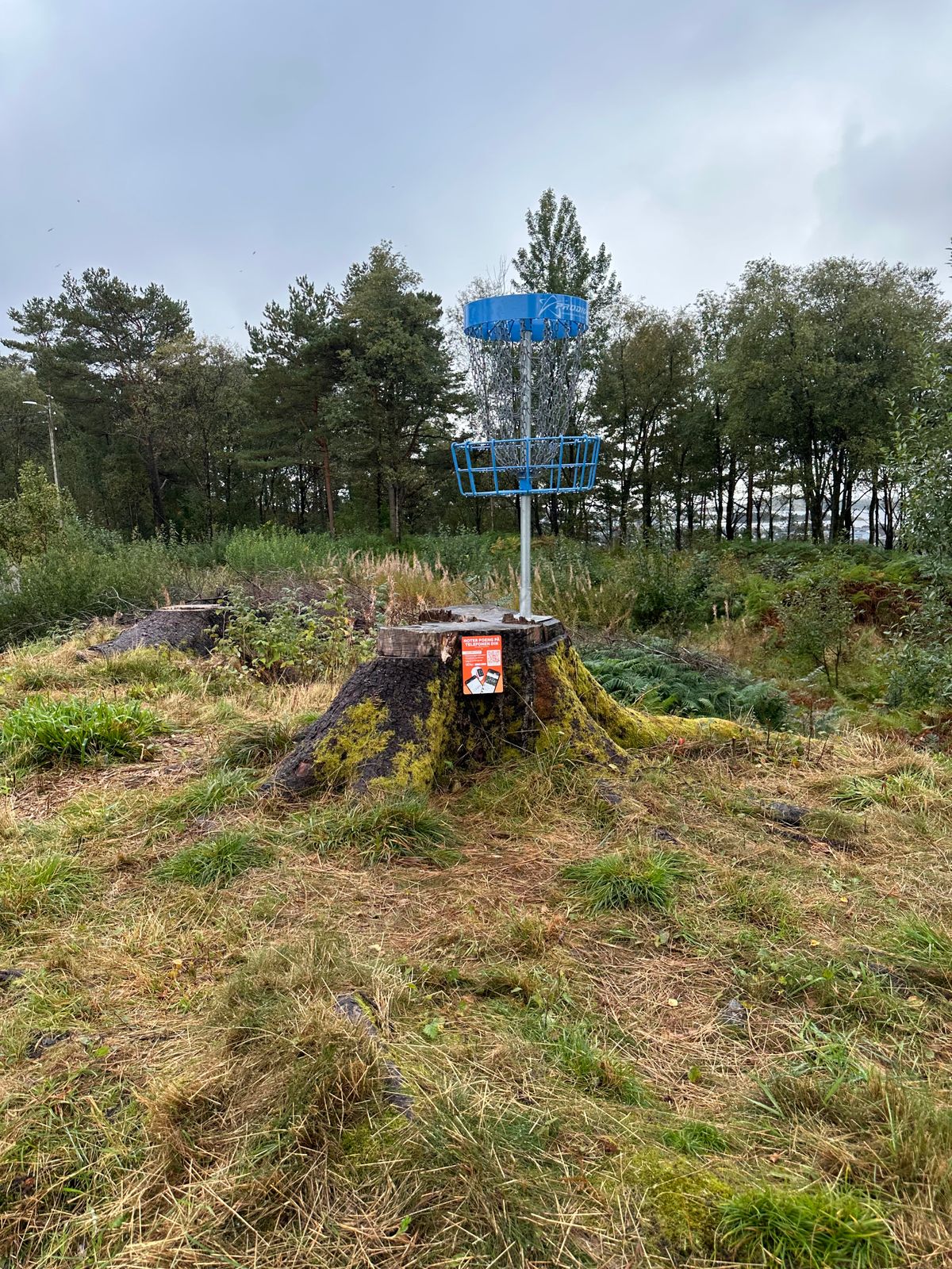 Putte kurv ved utkast 1