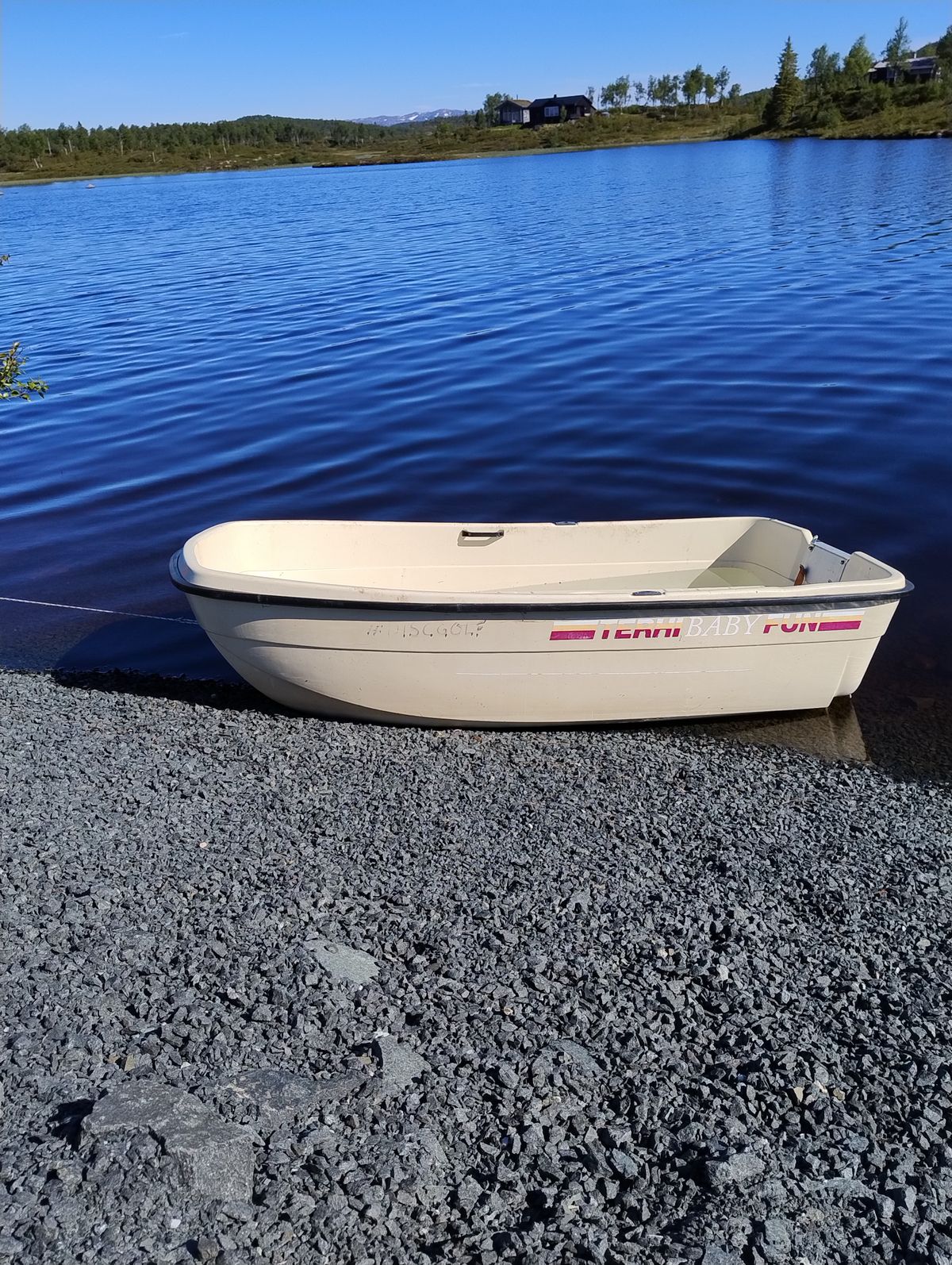 Diskgolfbåt