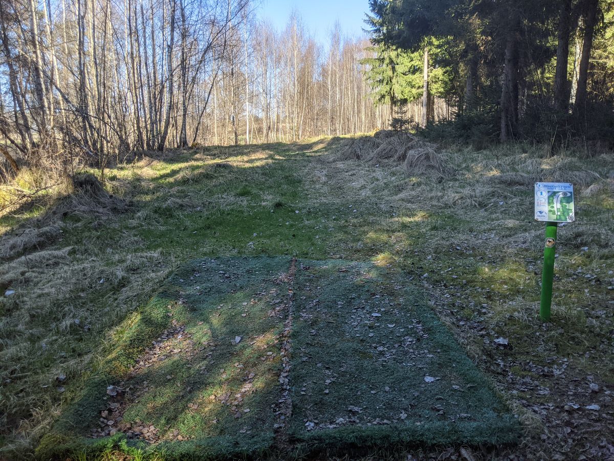 Hole 1: Clean wide forehand, or cut the corner through some trees