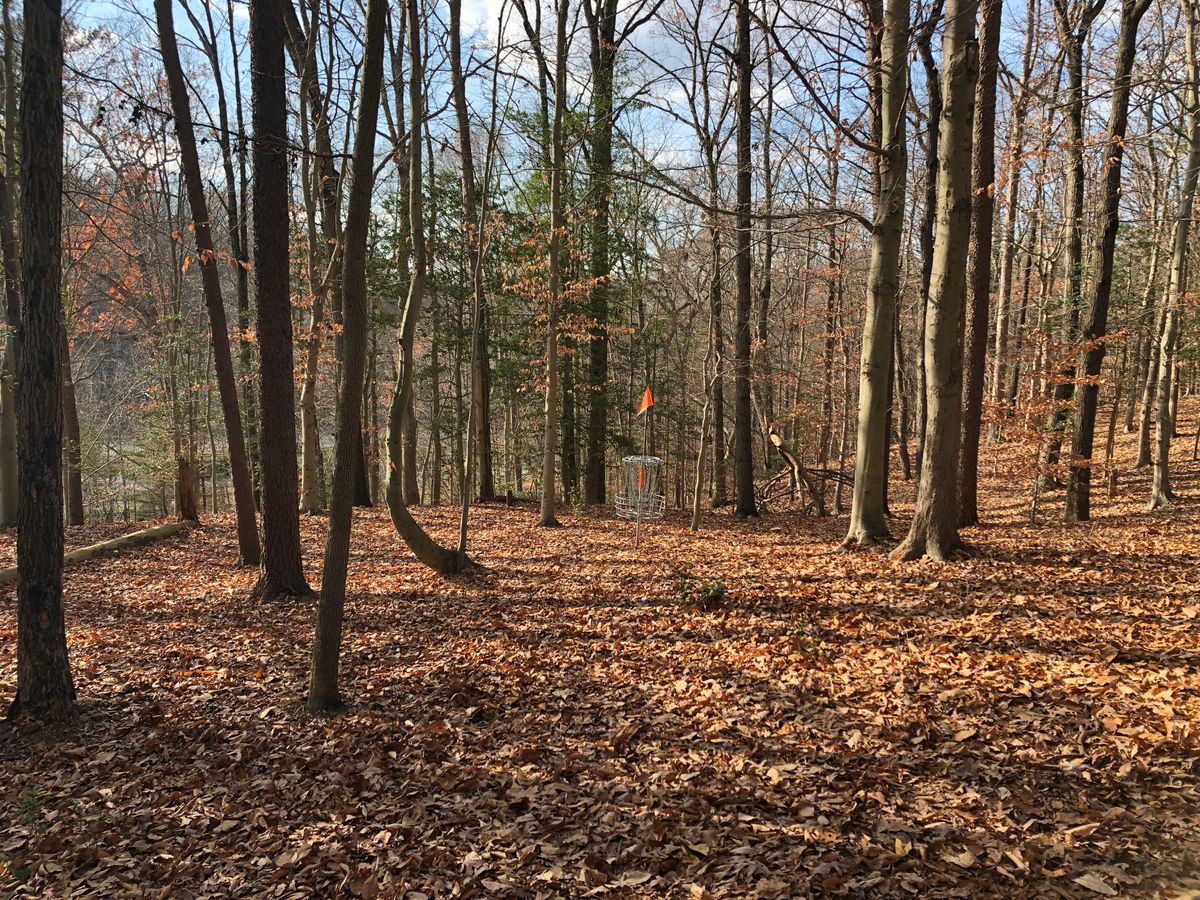 Hole 10 basket and green (Highway I-97 in background)