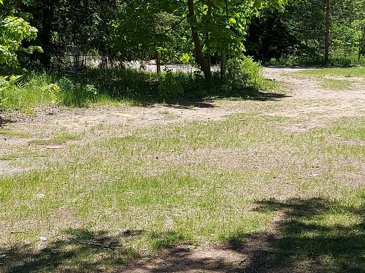 Short approach on hole 🍁🍀🍁🍀