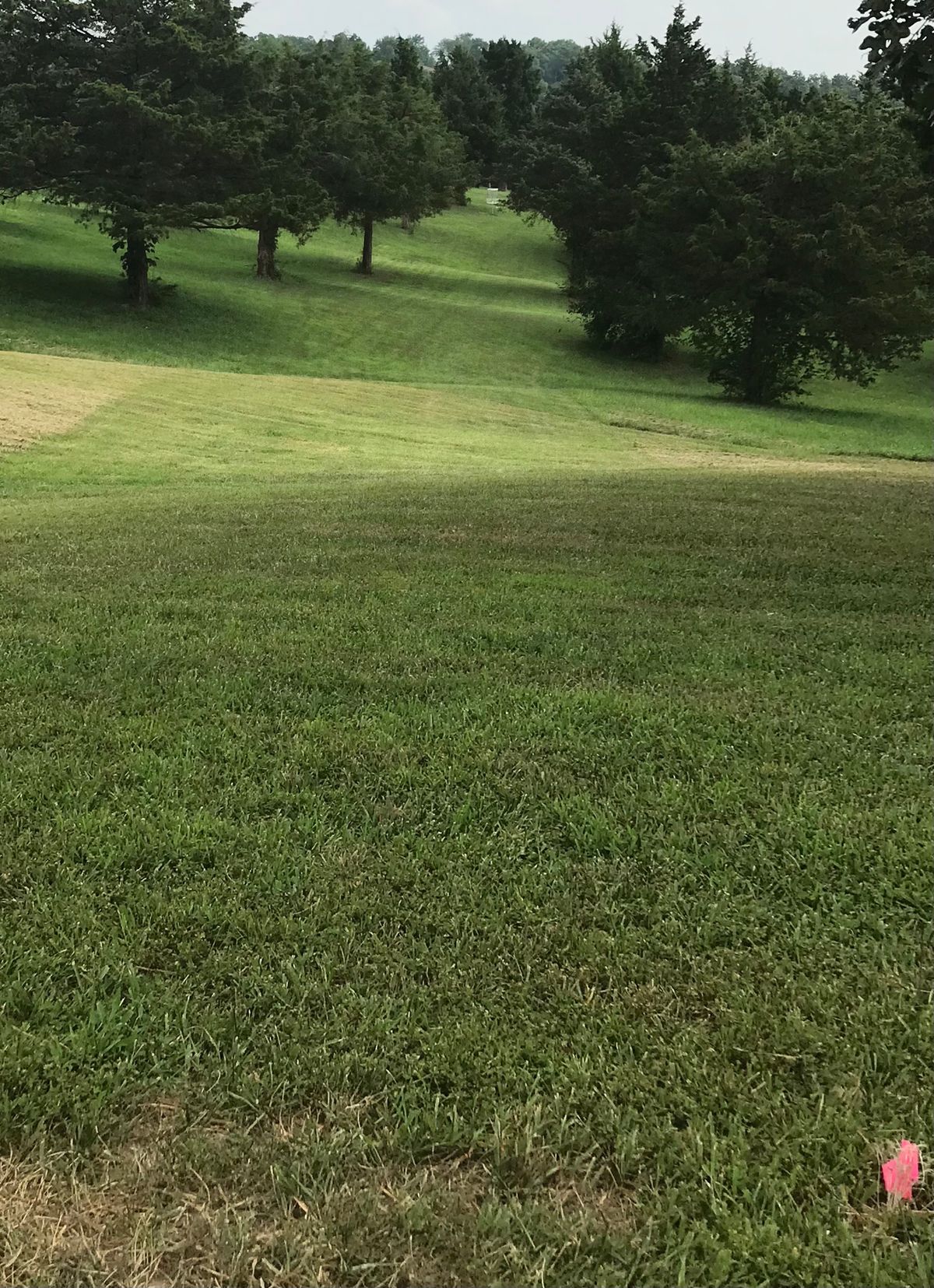 Hole 3 - Down then Up- Yards to right OB