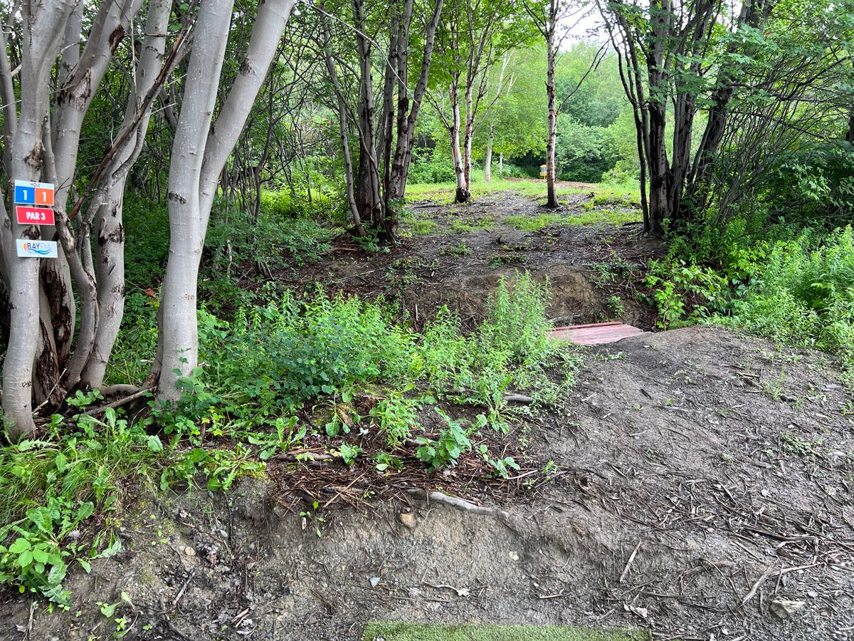 Hole 1 Tee