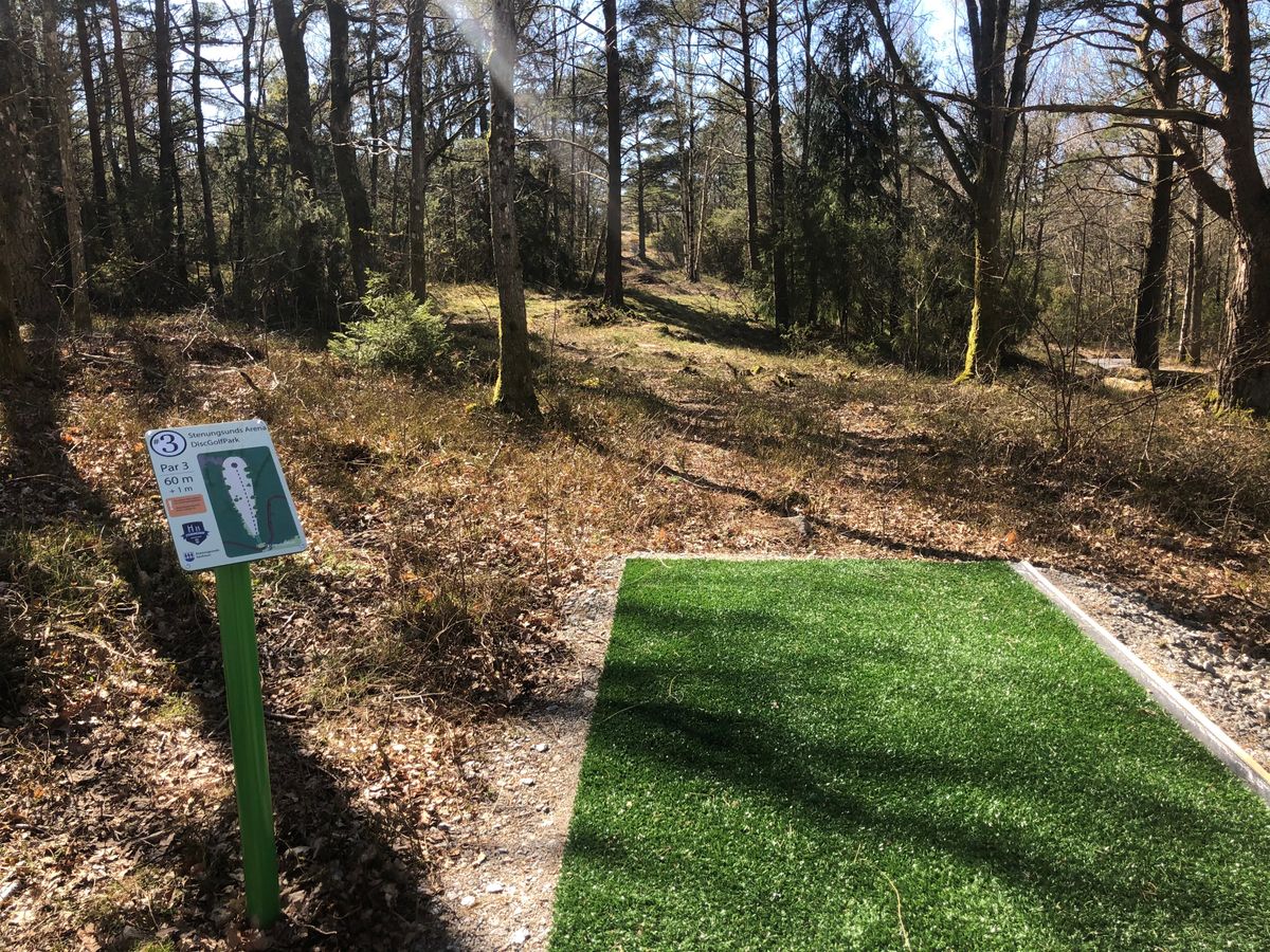 Hole 3 - the Ant hole 🐜