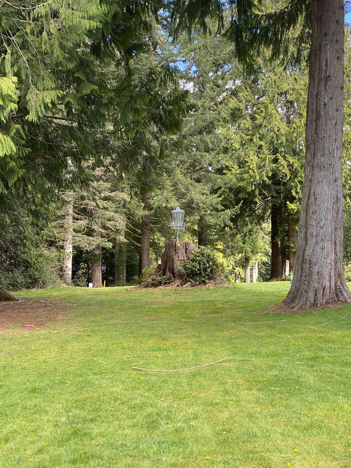 Hole 17 approach.