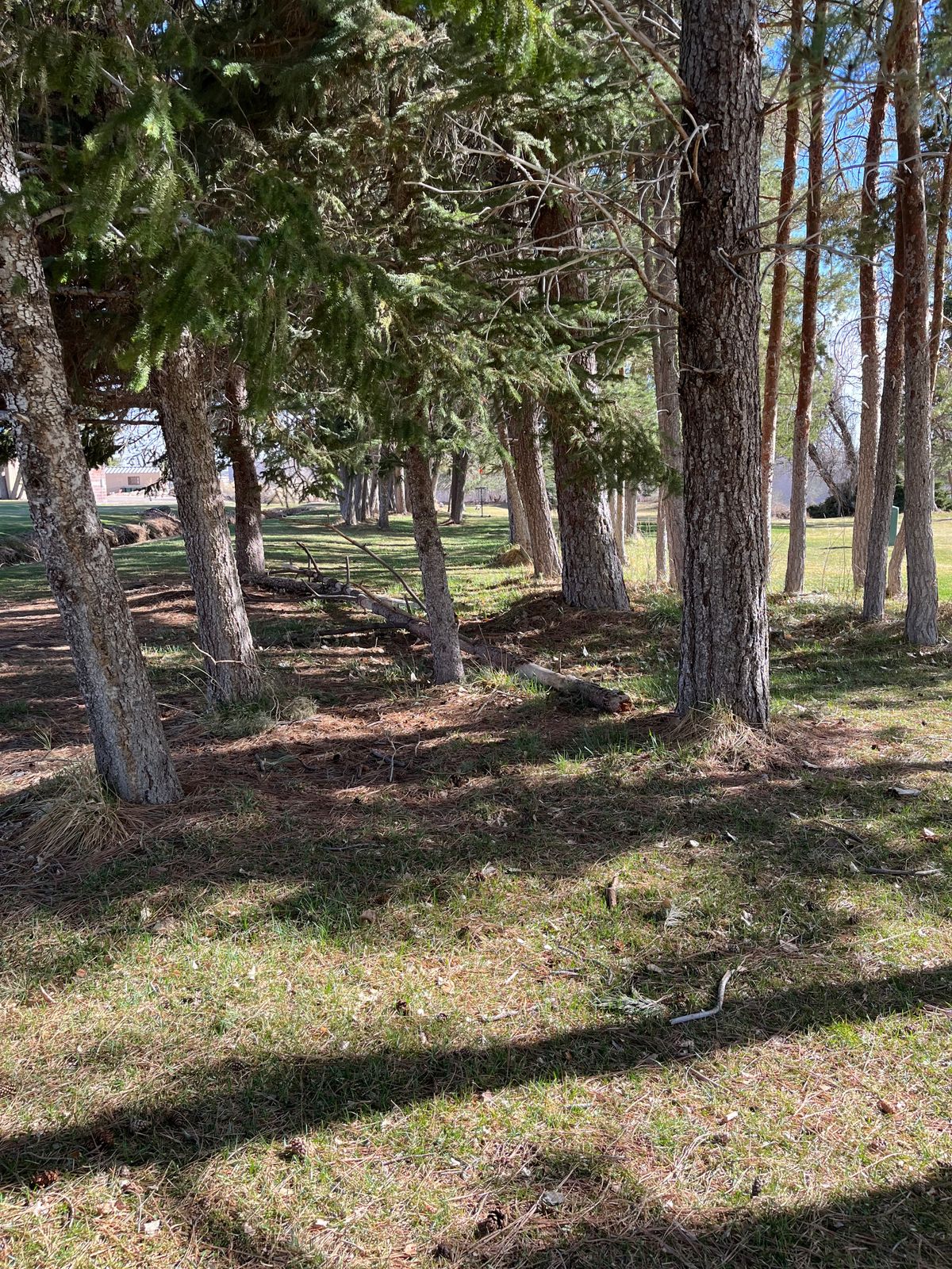 Looking up hole 7 approach