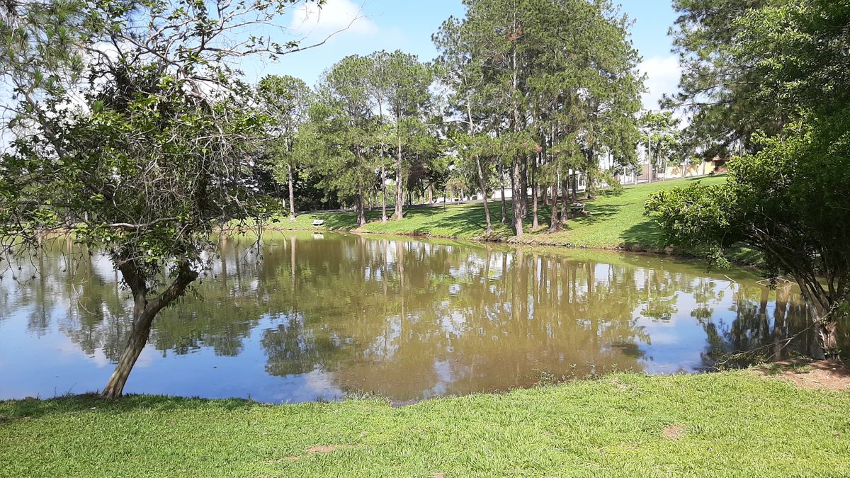 Hole 5, needs to go over the water