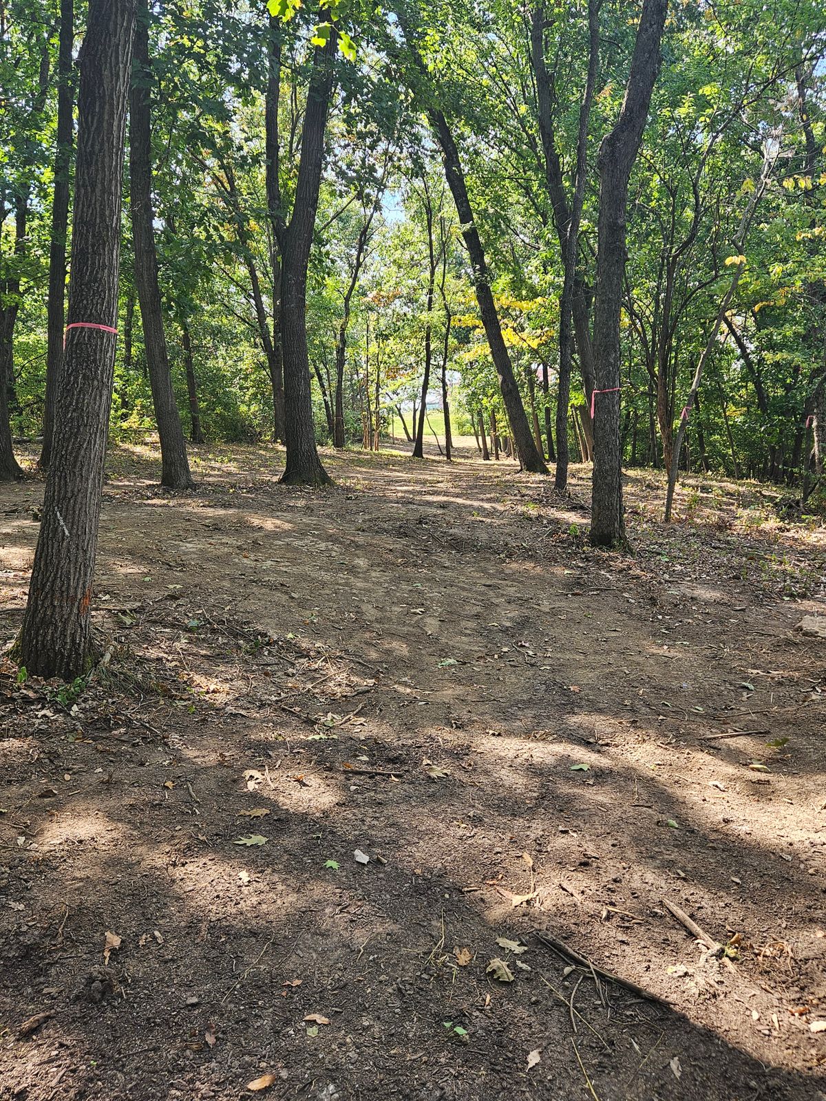 18 tee