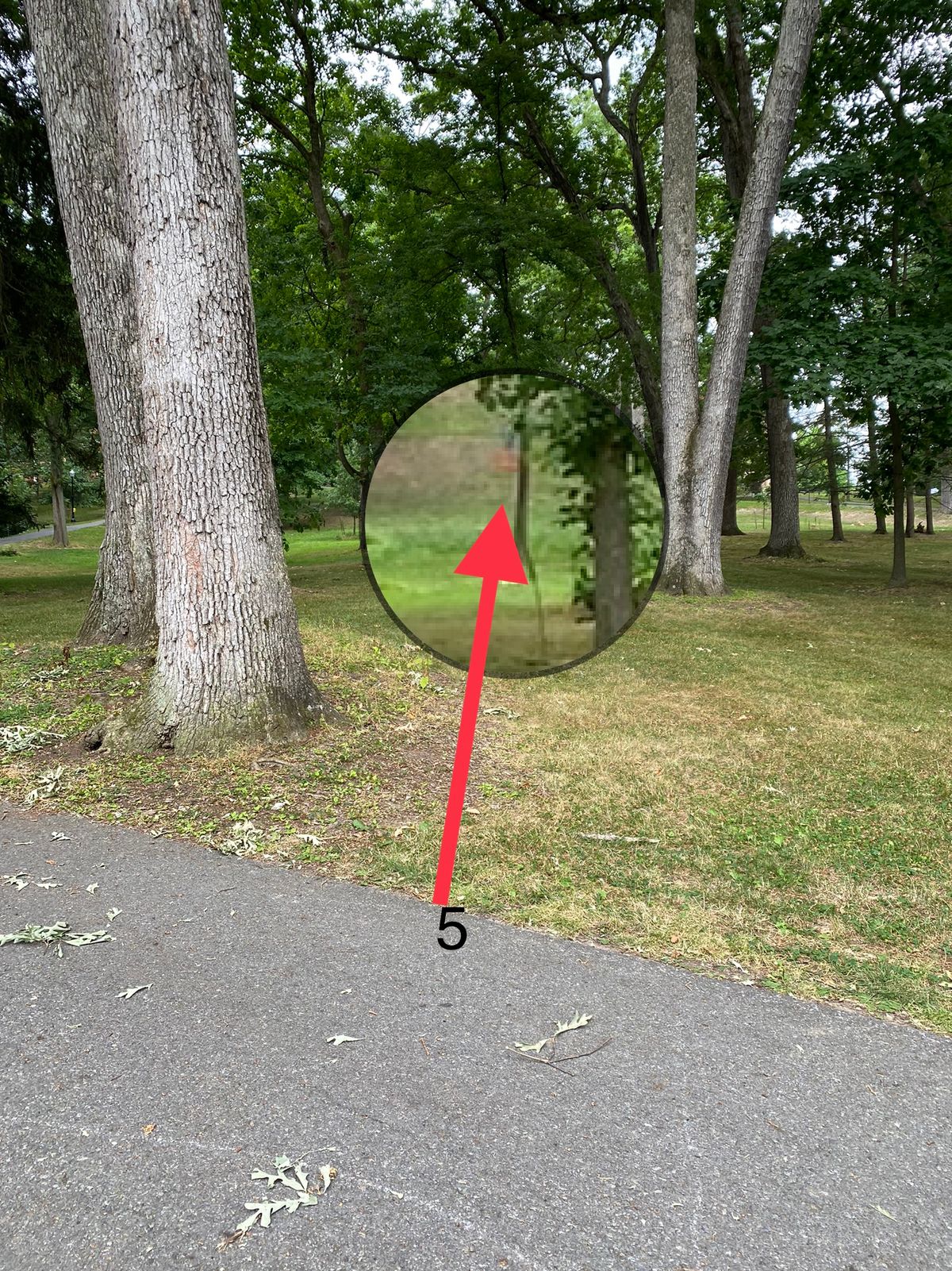 Main layout - Hole 5…couldn’t find any indication of a tee pad but this spot seemed to make sense 🤷🏼‍♂️