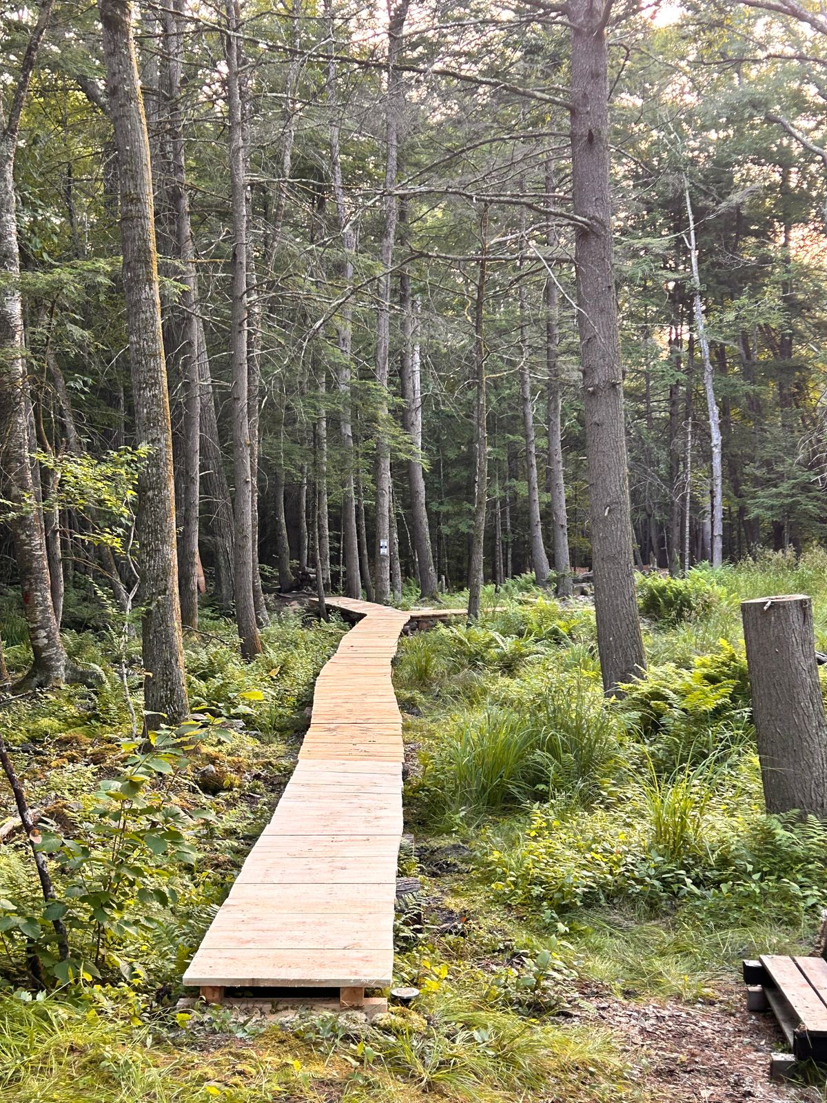 Raised walking path before stone and gravel road walk up