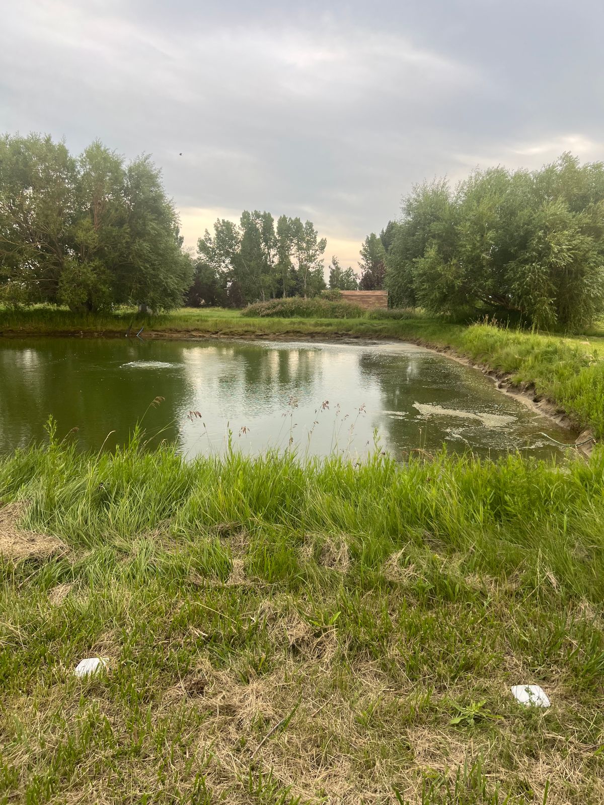 Water Hazard