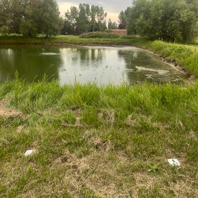 Water Hazard