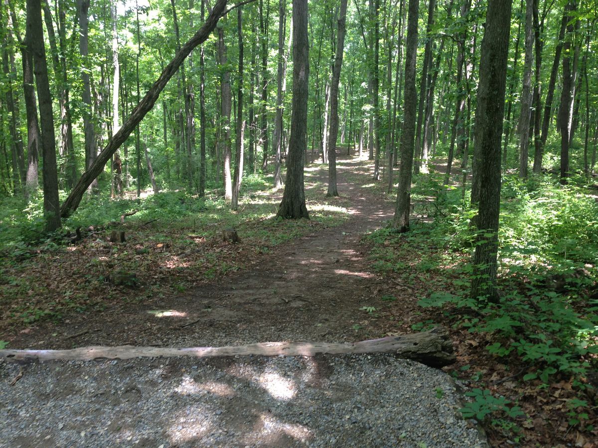 Hole 5