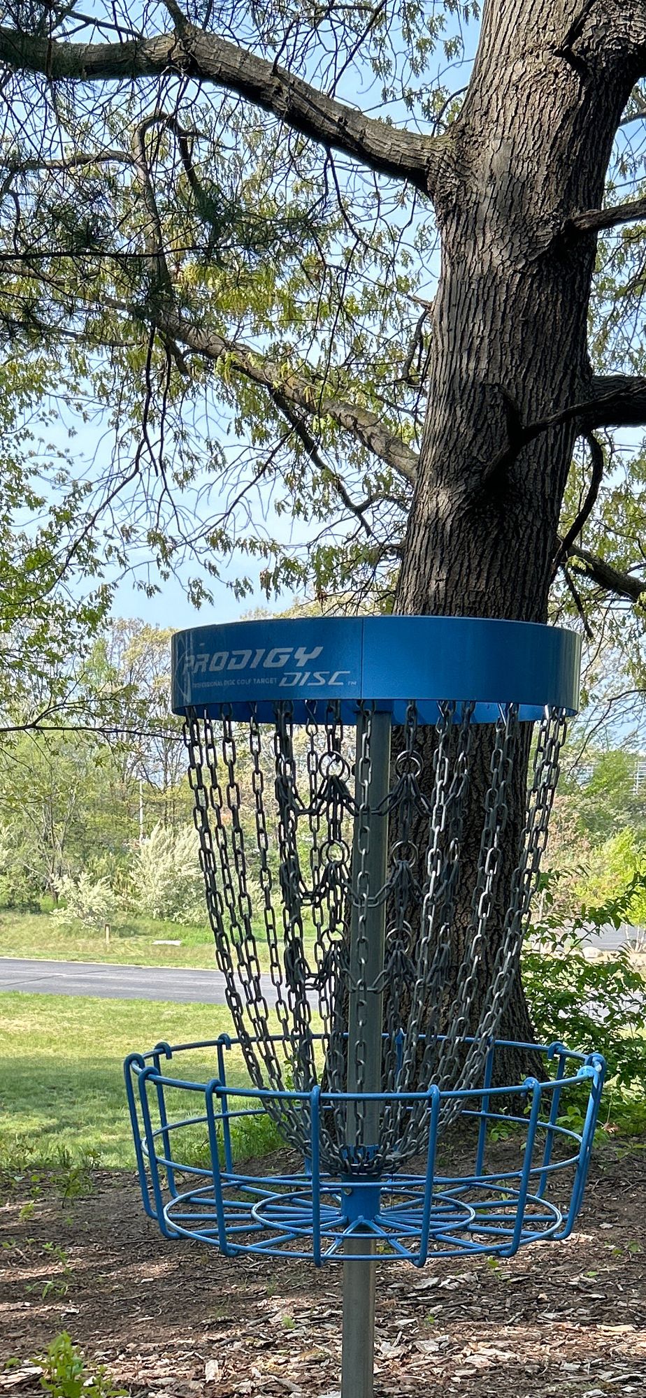 Hole #6 Basket