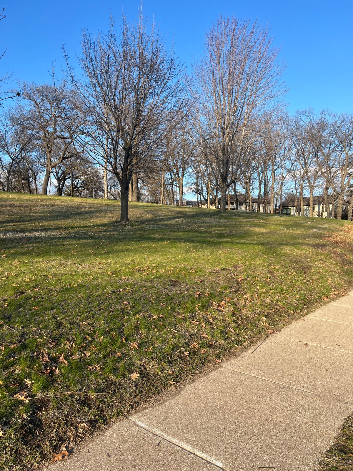 Hole 4 Alt Tee - 4/21/25