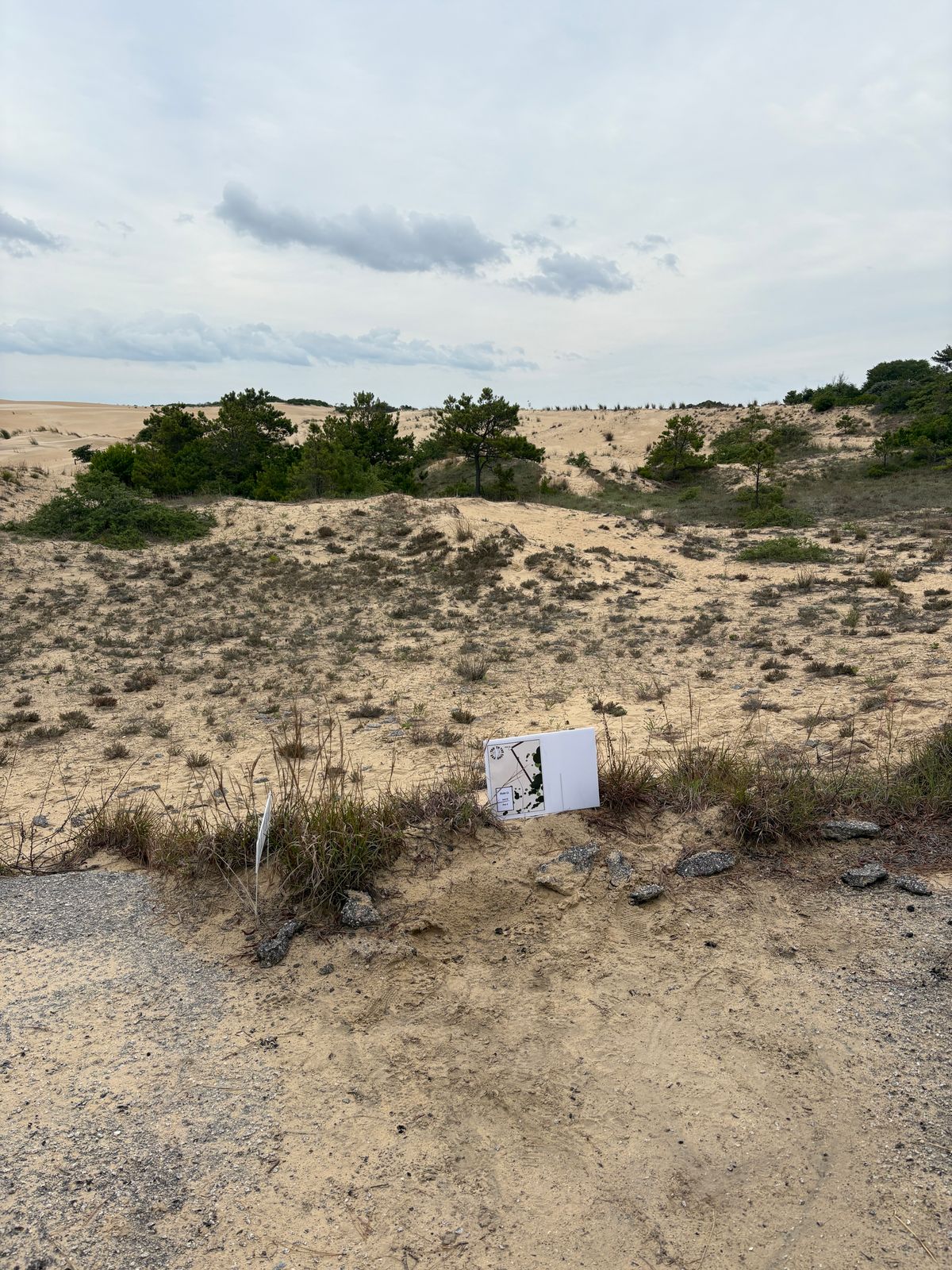 Hole 11 tee