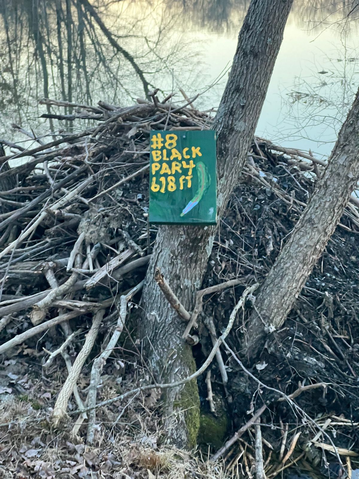 #8 Black Tee Sign