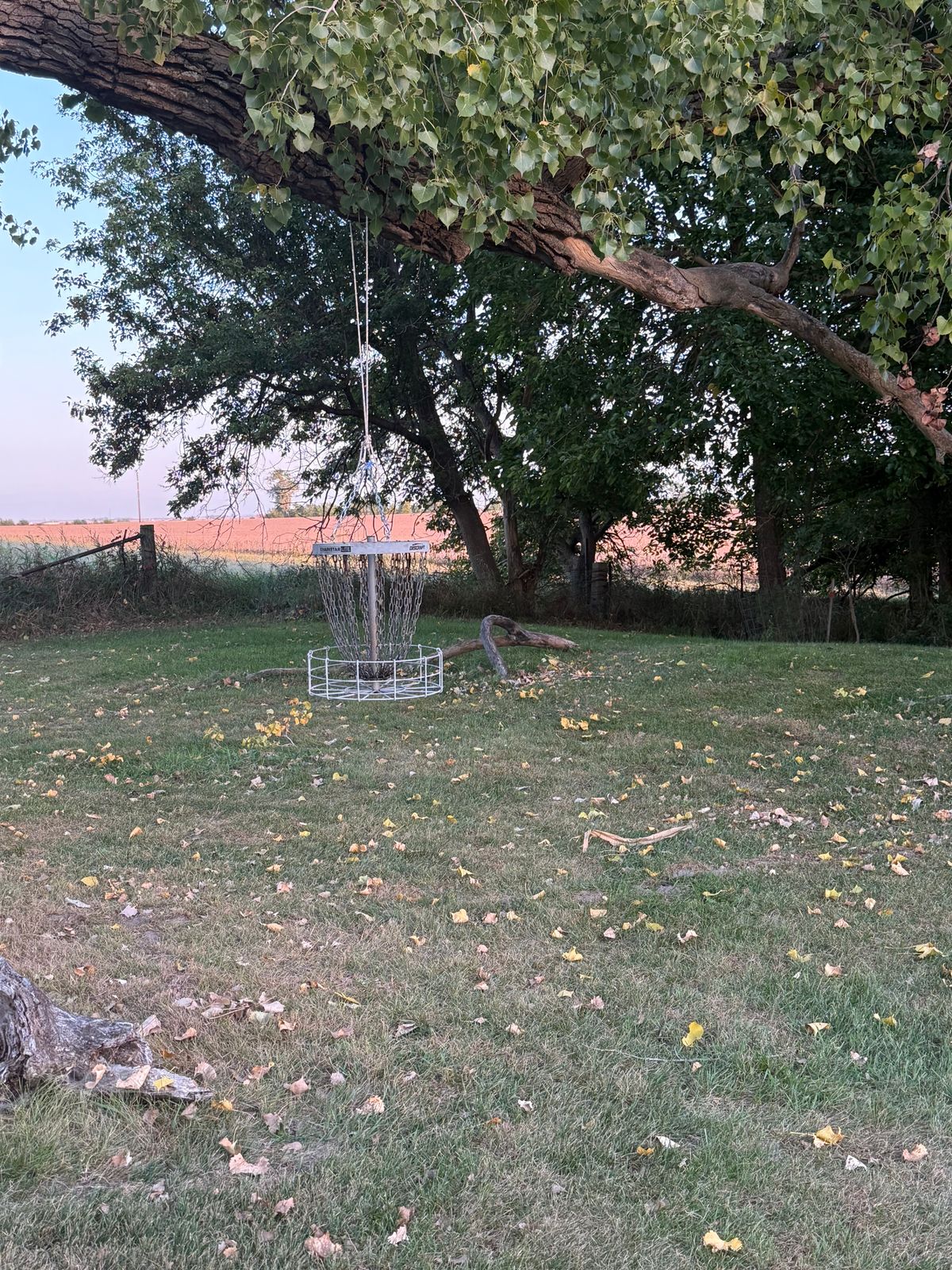 New swing shot Hole 4