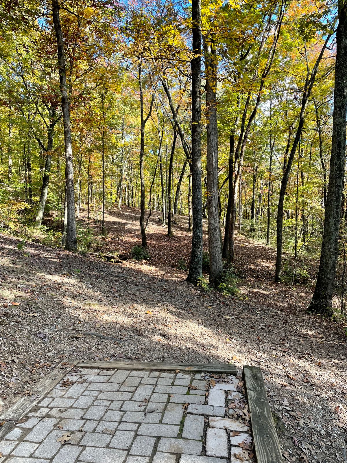 Short tee pad at hole 7