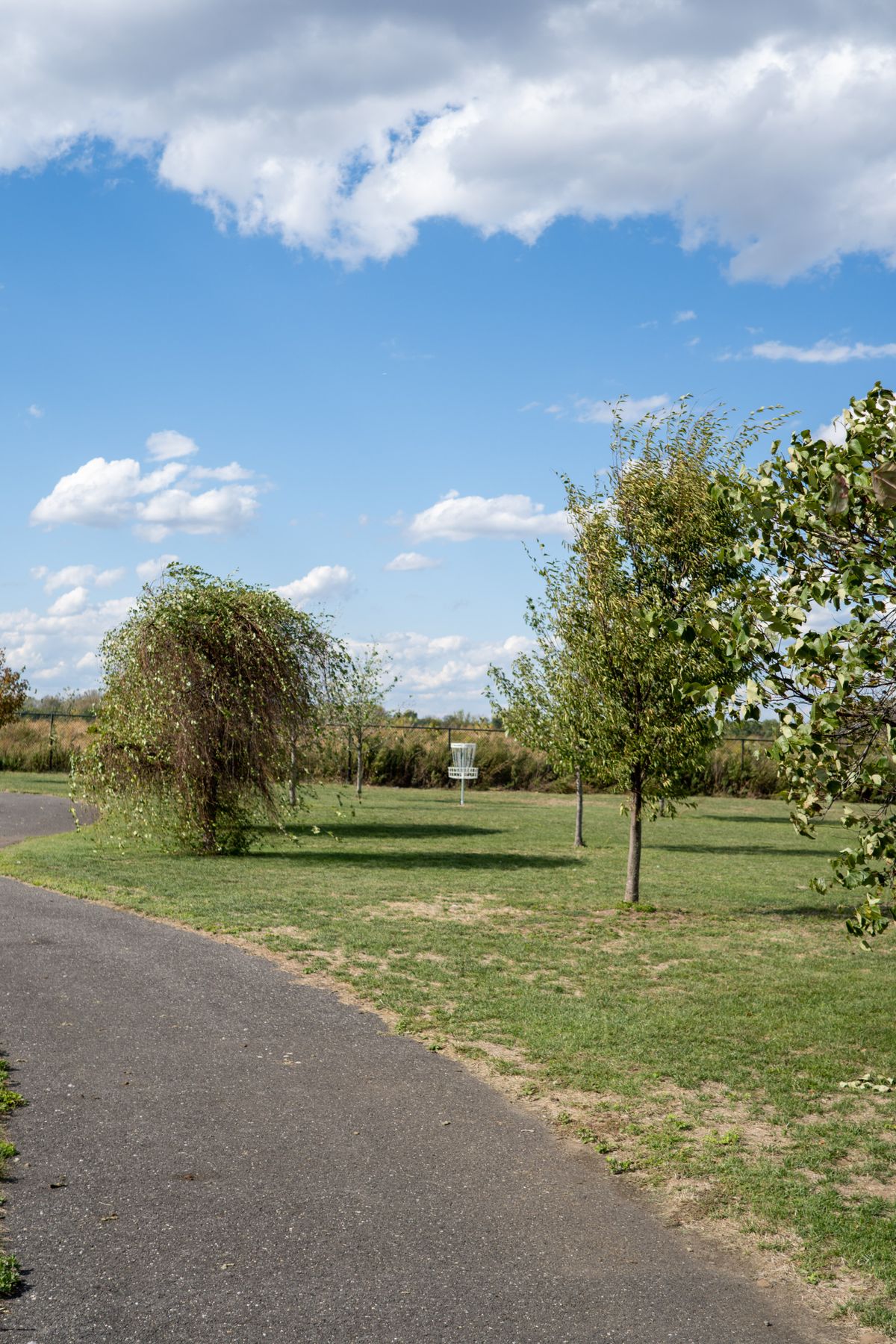 Fairway of Hole 6