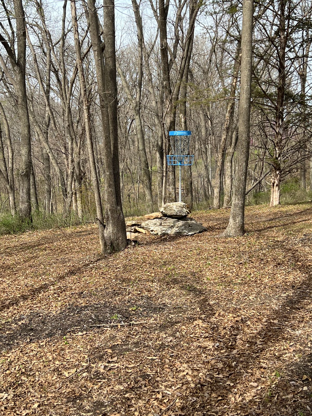 Hole 12 Basket