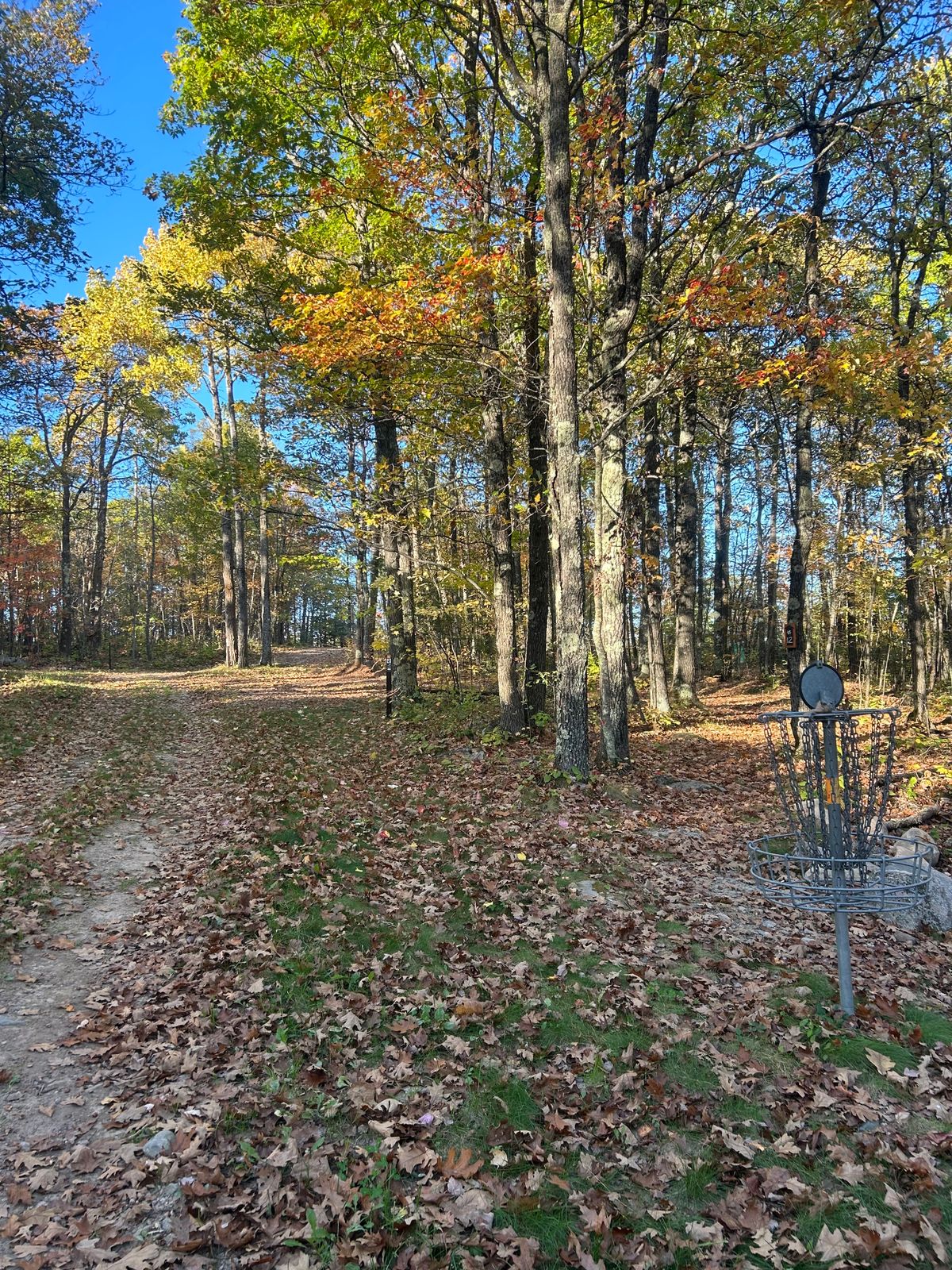 Hole 11