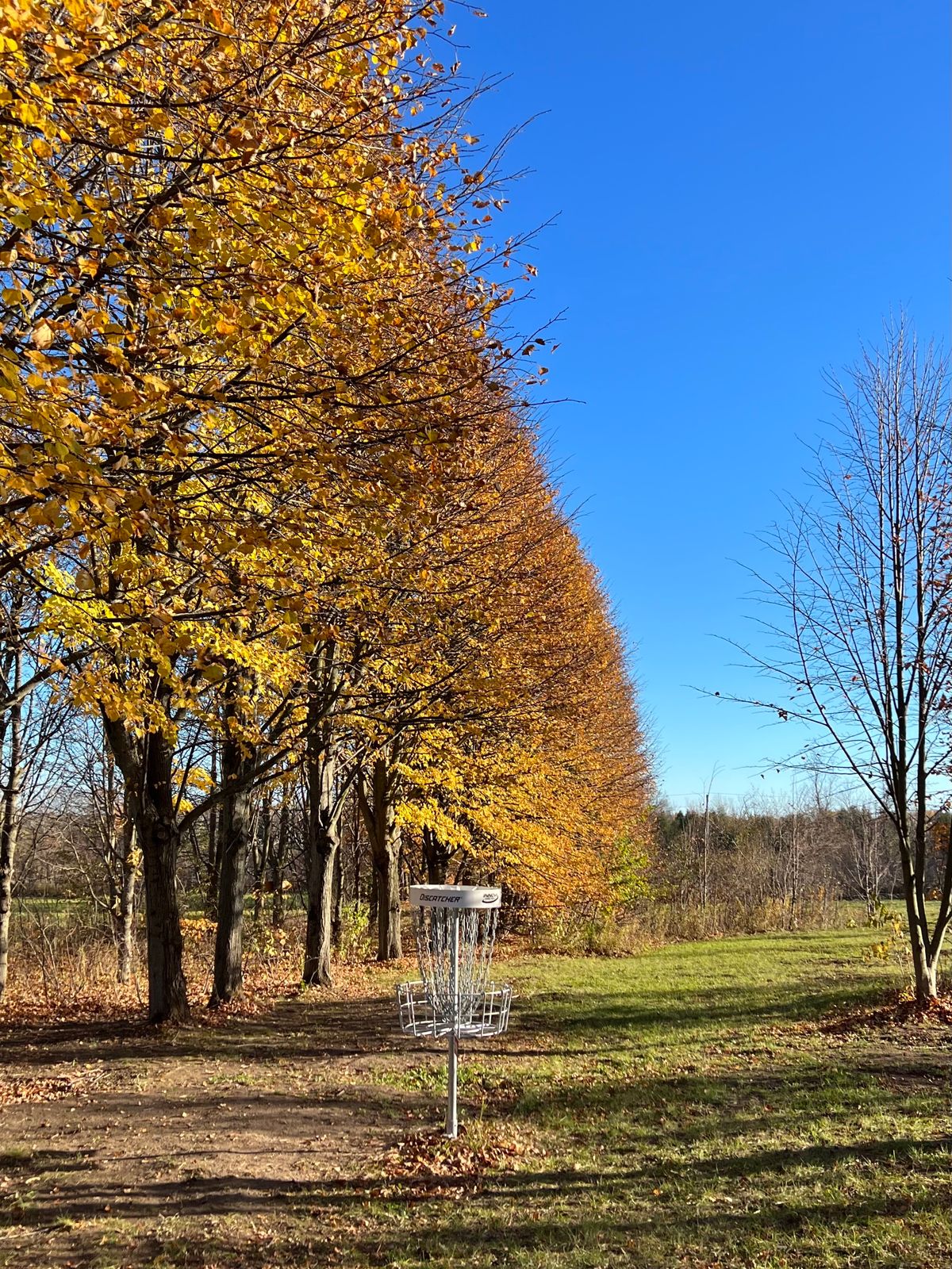 Hole 6, back of the green looking south.