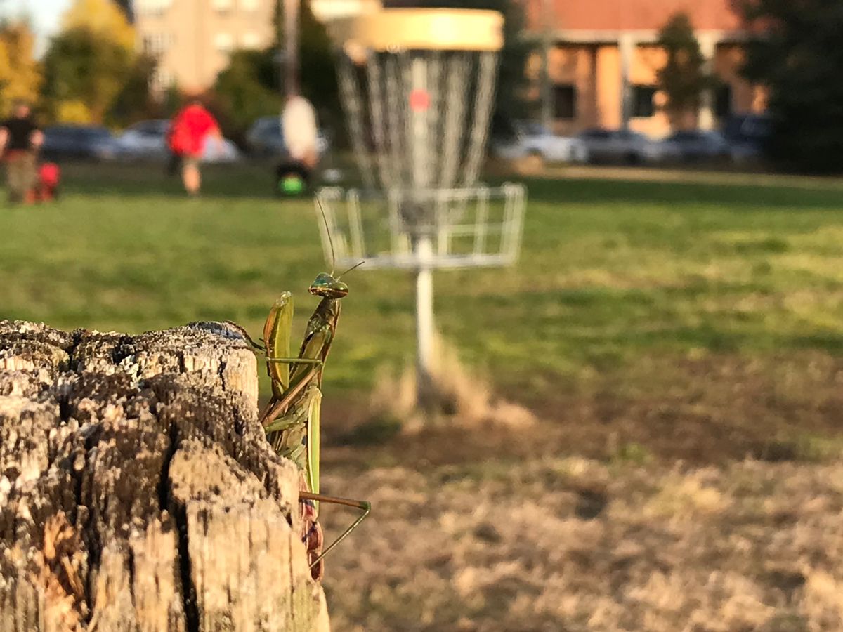 Spectators welcome